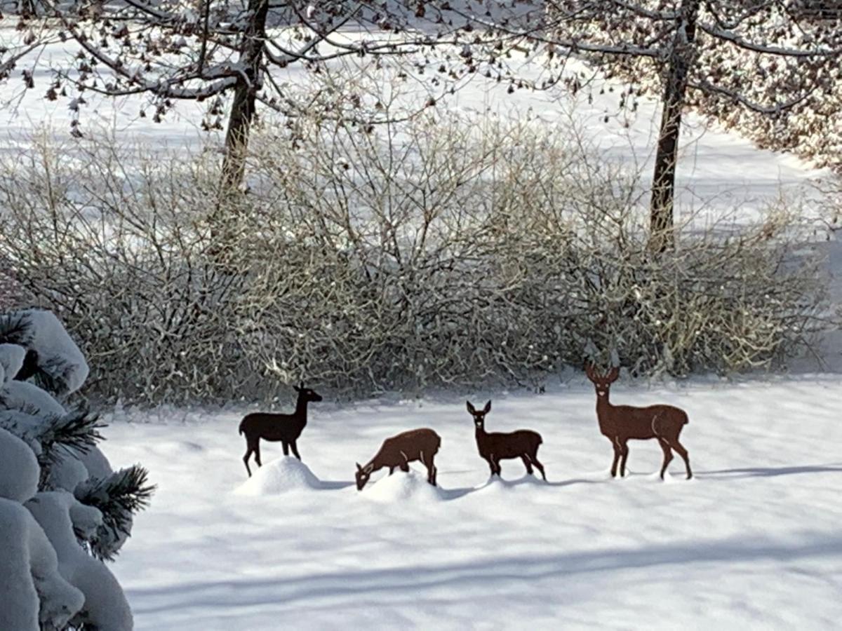 Ferienwohnungen Familie Wetzlinger Bad Kleinkirchheim Bagian luar foto